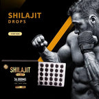 BPV® Himalaya Shilajit (4x60 Tabletten)