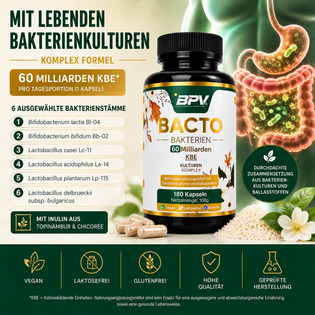 BPV BACTO Bakterien (180 Kapseln)