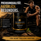 BPV Himalaya Shilajit (60 Gummis)