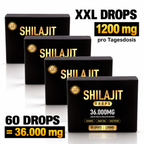 BPV® Himalaya Shilajit (4x60 Tabletten)
