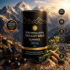 BPV Himalaya Shilajit (60 Gummis)
