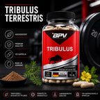 BPV Tribulus Terrestris (120 Kapseln)